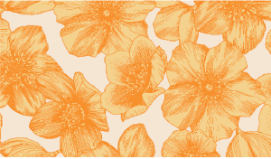 Sorrento Front-Tie Kimono Top-Sorrento