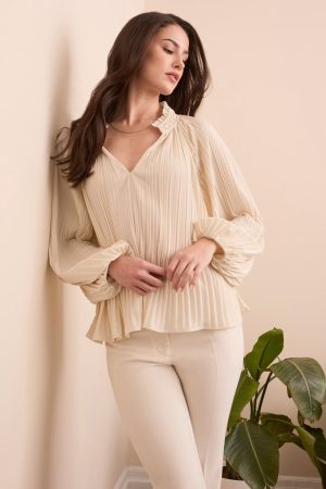 Pleated Ruffle Notch Collar Novelty Blouse-Moonstone