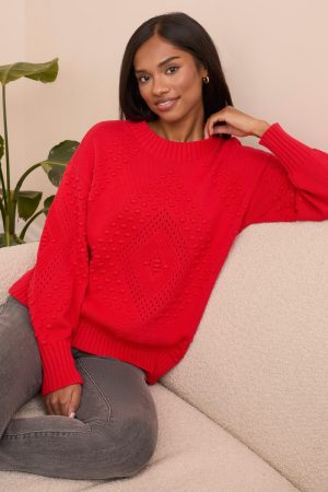 Textured Long Puff Sleeve Cotton Sweater-Carmine